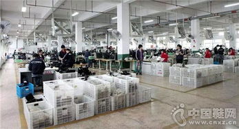 溫州鞋廠引進先進設備，產品開發與效率實現立竿見影提升
