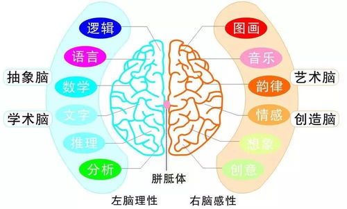 2017年北京全腦超速記憶國慶集訓(xùn)營 告別死記硬背，激發(fā)孩子無限潛能